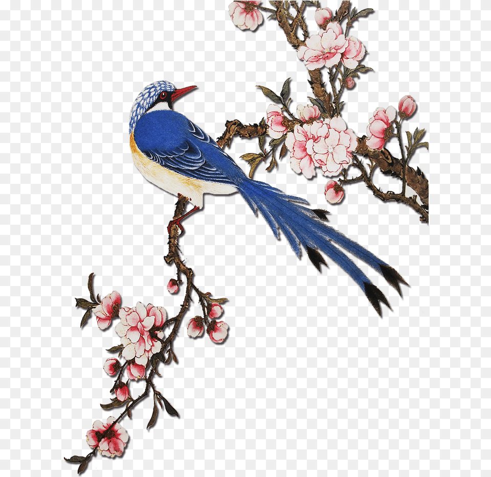 Clip Art Flowering Peach Tree Chinese Flowers And Birds, Flower, Petal, Plant, Animal Png