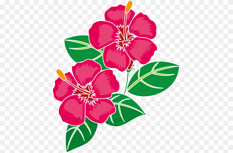 Clip Art Flowers, Flower, Plant, Pattern, Hibiscus Free Png Download