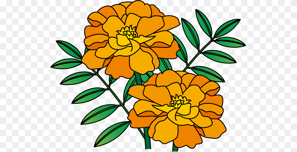 Clip Art Flowers, Plant, Pattern, Graphics, Flower Free Png