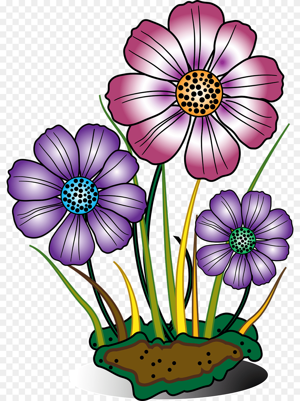 Clip Art Flowers Bloom, Anemone, Plant, Flower, Daisy Free Png