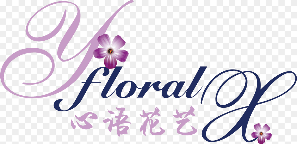 Clip Art Flowers Border, Flower, Plant, Purple, Text Png