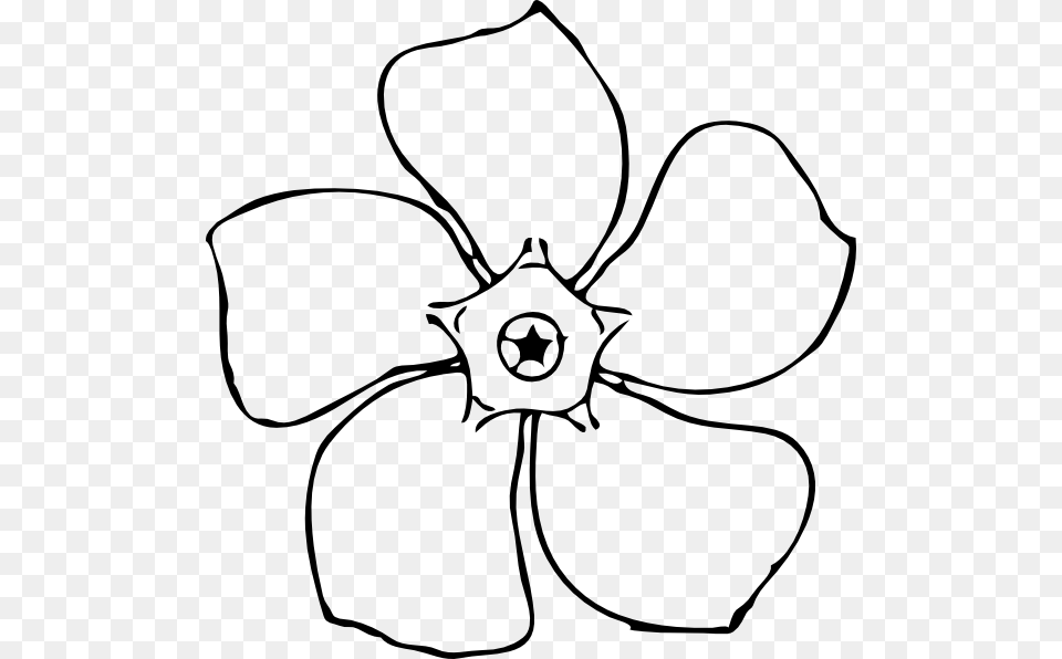 Clip Art Flowers Drawings, Plant, Flower, Petal, Anemone Free Png Download