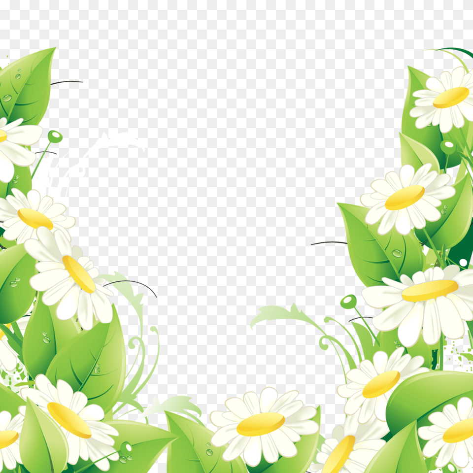 Clip Art Flowers Flower, Daisy, Floral Design, Graphics, Pattern Free Transparent Png