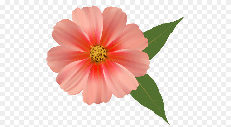 Clip Art Flowers Flower, Anther, Dahlia, Daisy, Petal Png