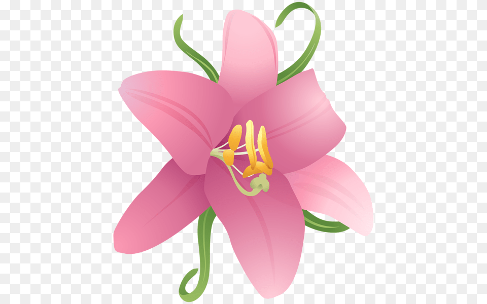 Clip Art Flowers Three, Anther, Flower, Plant, Lily Free Transparent Png