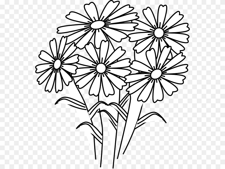 Clip Art Flowers To Color, Daisy, Flower, Plant Free Transparent Png