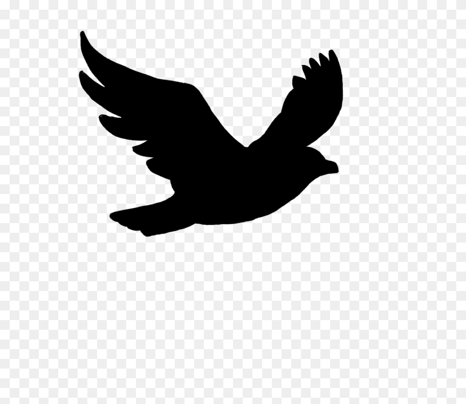 Clip Art Flying Bird Silhouette, Gray Png Image