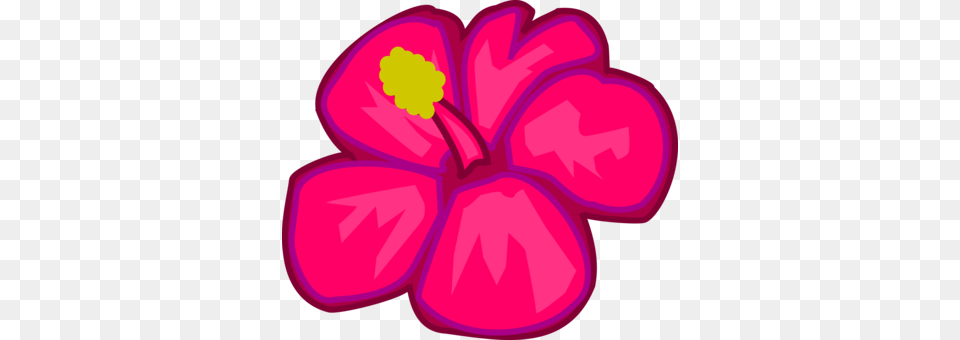 Clip Art For Liturgical Year Carnation Computer Icons Pink Flowers, Flower, Plant, Hibiscus, Petal Free Transparent Png
