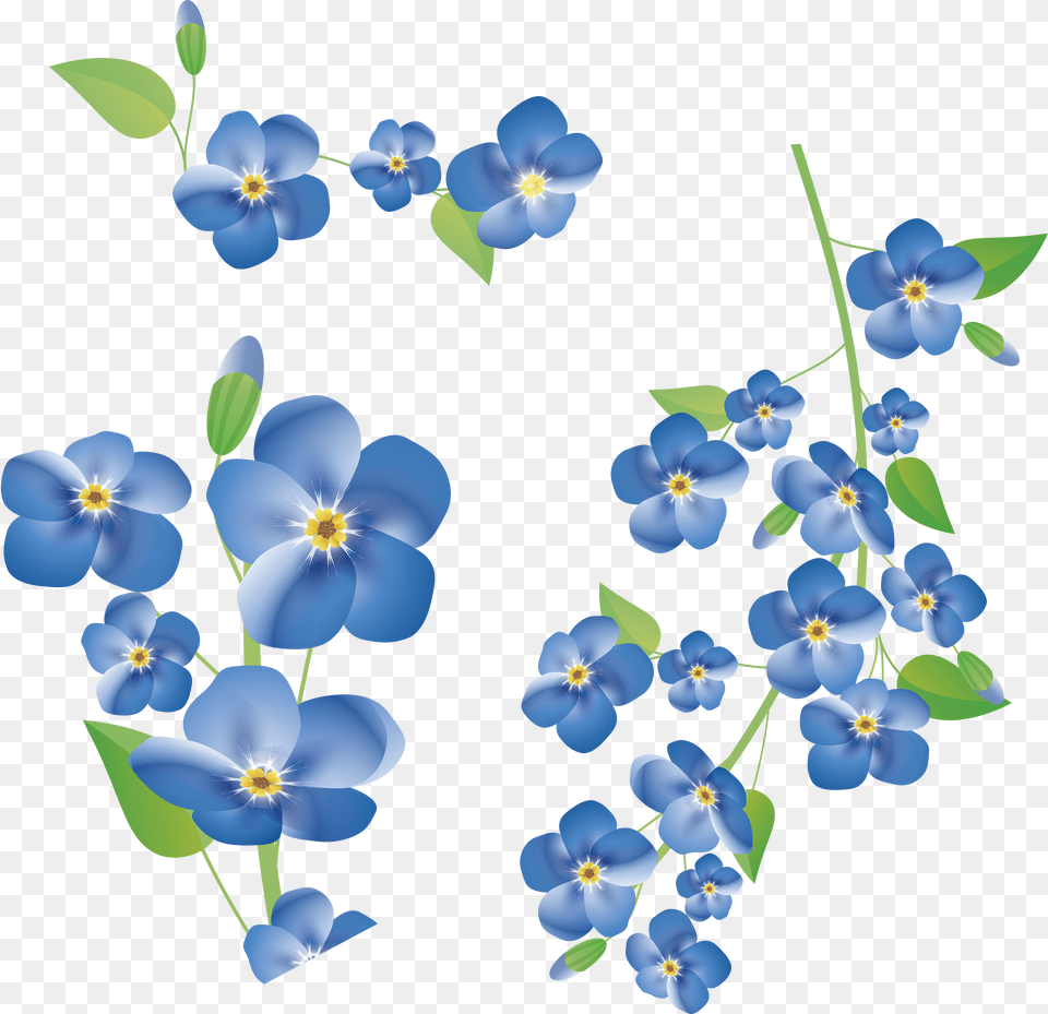 Clip Art Forget Me Not Background Forget Me Not Clipart Free Png Download