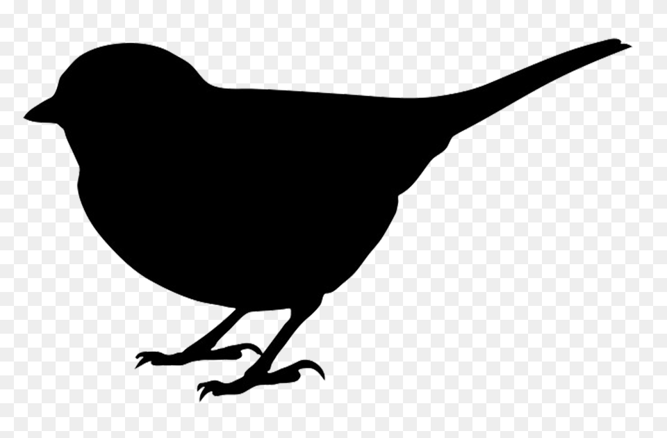 Clip Art Free Bird Silhouette Winging, Animal, Blackbird, Stencil, Dinosaur Png Image