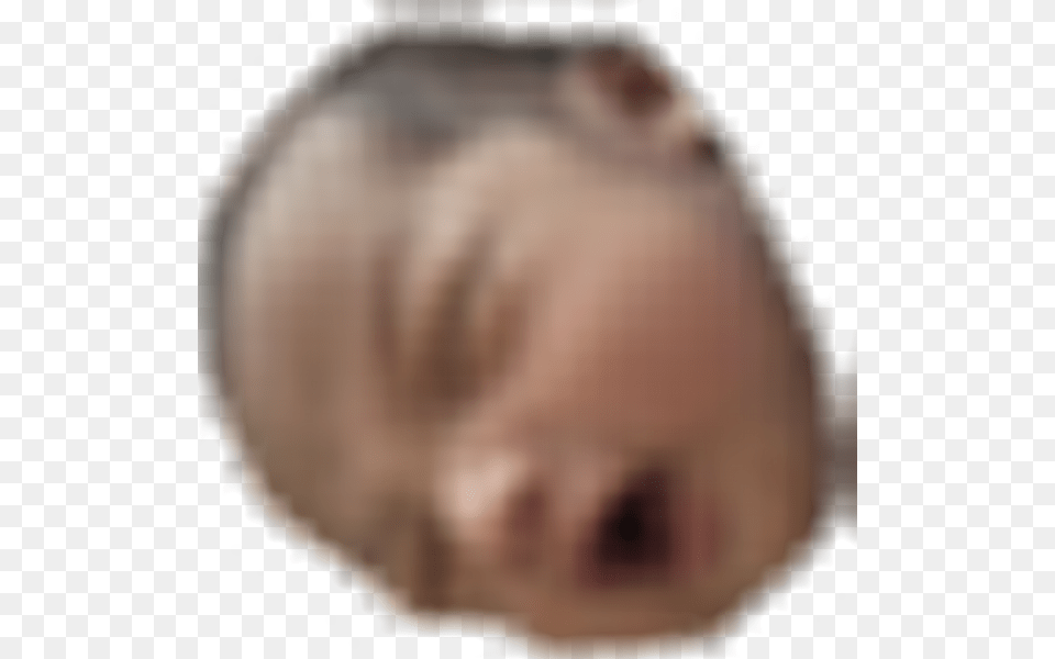 Clip Art Download Baby Success Meme For Baby Rage Emote, Head, Person, Face, Newborn Free Transparent Png