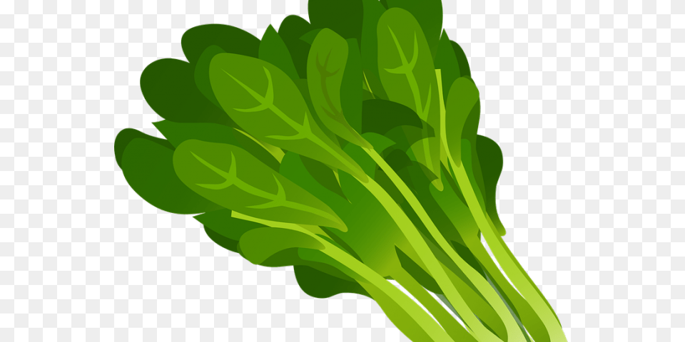 Clip Art Freeuse Stock Green Leaves On Dumielauxepices Spinach Clip Art, Food, Plant, Produce, Leafy Green Vegetable Free Png Download
