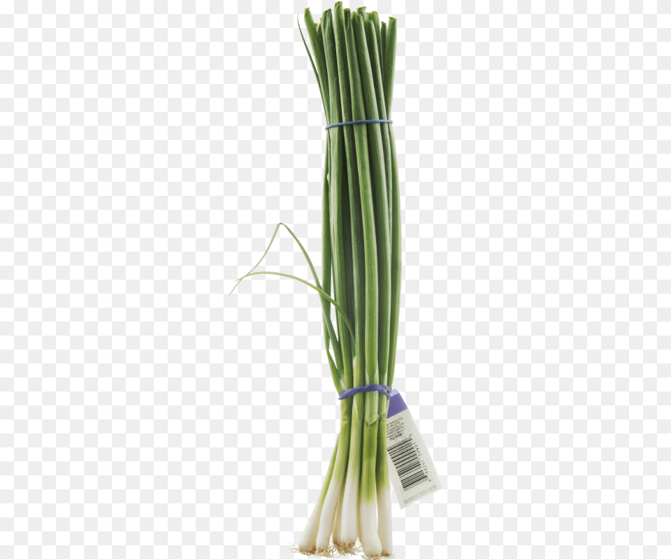 Clip Art Fresh Bunch Prestofresh Grocery 1 Bunch Green Onions, Food, Produce, Plant, Spring Onion Png Image