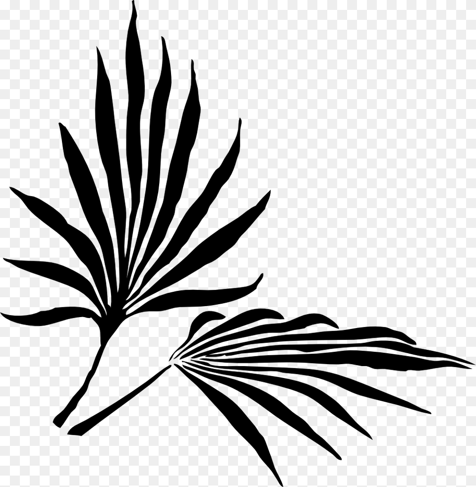 Clip Art Fronds Silhouette Black White Line Art, Leaf, Plant, Stencil, Herbal Free Png