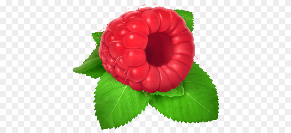 Clip Art Fruit, Berry, Food, Plant, Produce Free Png Download