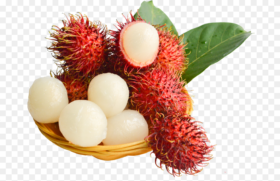 Clip Art Fruit Lychee Red Fresh Png Image