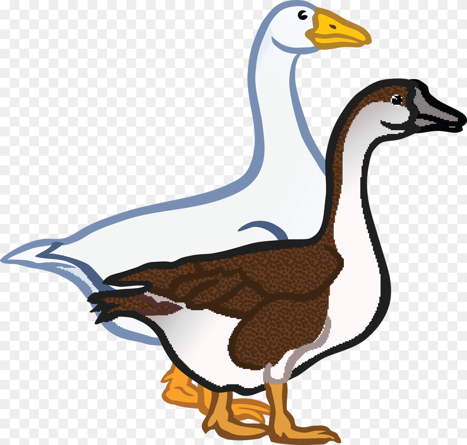 Clip Art Geese, Animal, Bird, Goose, Waterfowl Png
