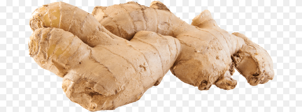 Clip Art Ginger, Food, Plant, Spice, Animal Free Png Download