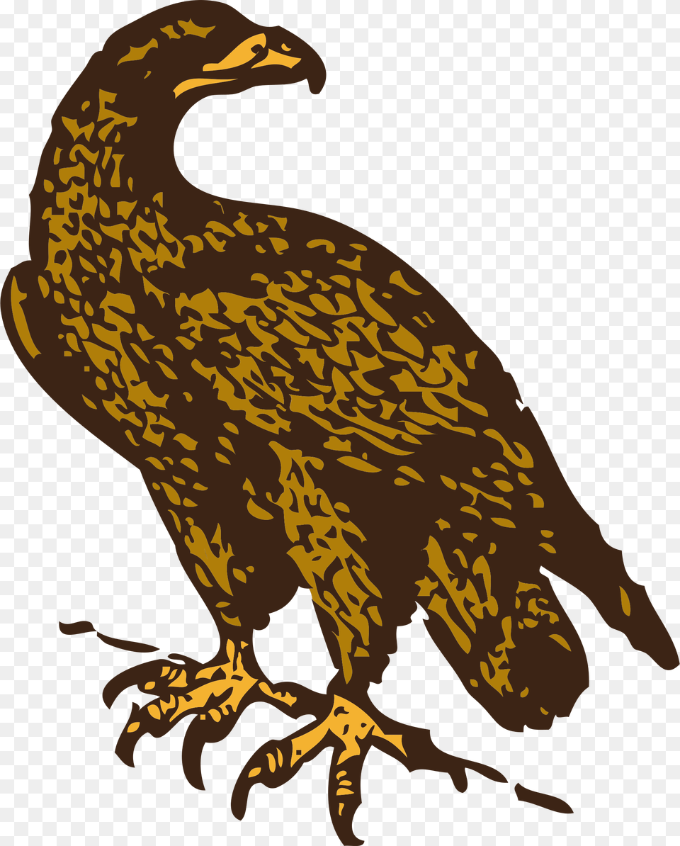Clip Art Golden Eagle, Animal, Bird, Vulture, Dinosaur Free Png Download