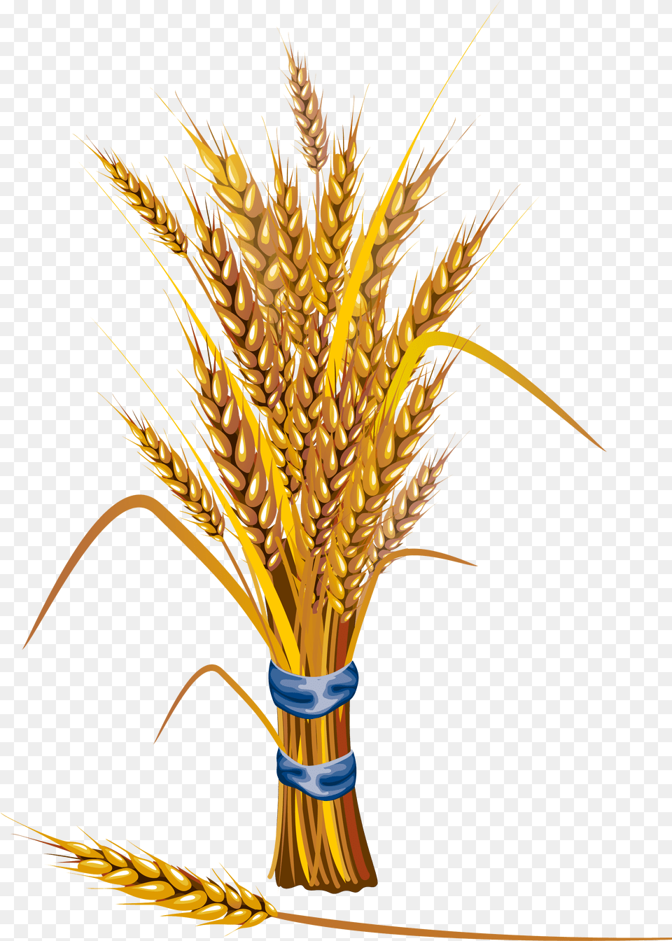Clip Art Grain, Food, Produce, Wheat, Chandelier Png Image