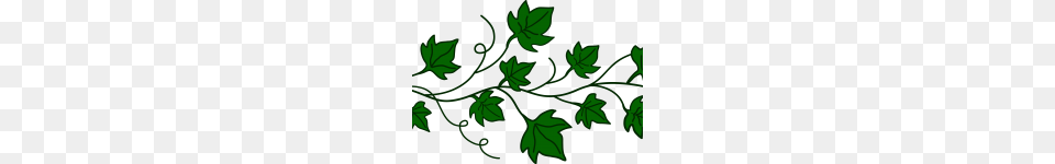 Clip Art Grapevine Clip Art, Floral Design, Graphics, Green, Leaf Free Png Download