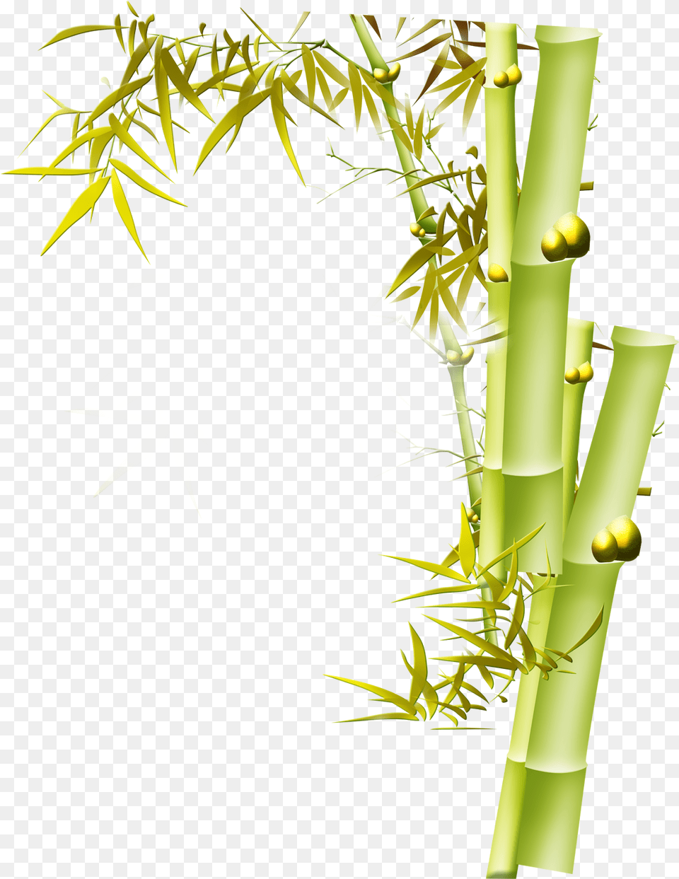 Clip Art Graphic Design Bird And Bamboo Yellow Flower Background Plant Free Transparent Png
