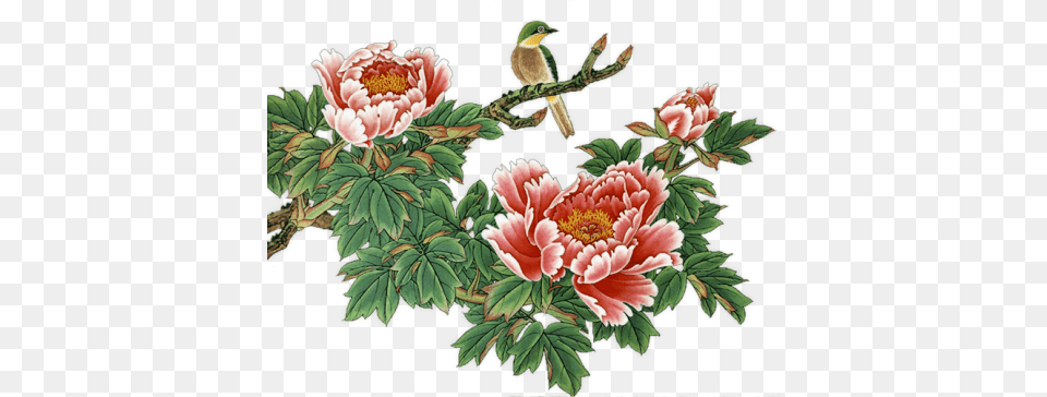 Clip Art Graphics, Animal, Flower, Bird, Plant Png