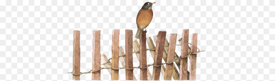 Clip Art Graphics Fence Post, Animal, Bird, Robin, Wood Free Png