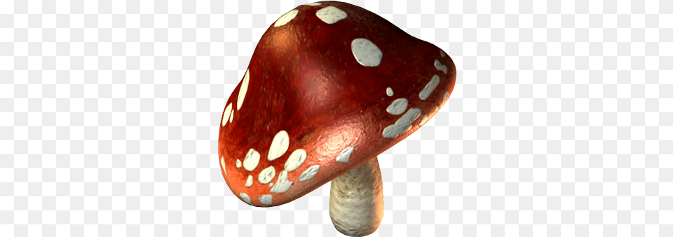 Clip Art Graphics Toadstool, Agaric, Amanita, Fungus, Mushroom Free Transparent Png