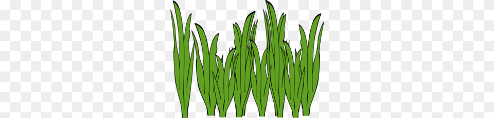 Clip Art Grass Clipart Black And White Outline, Aquatic, Green, Plant, Vegetation Free Transparent Png