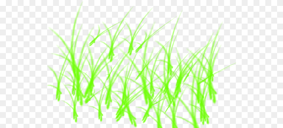 Clip Art Grass Texture For Fondos Para Photoshop, Green, Moss, Plant, Aquatic Png