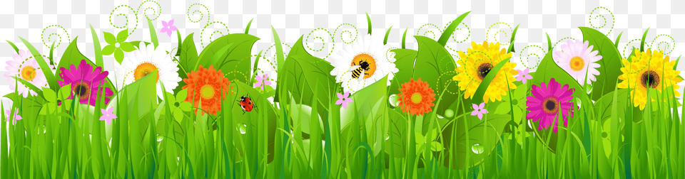 Clip Art Grass With Flowers, Daisy, Plant, Outdoors, Nature Free Png Download