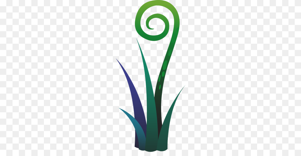 Clip Art Green Bean Plant, Spiral, Coil, Aloe Free Png