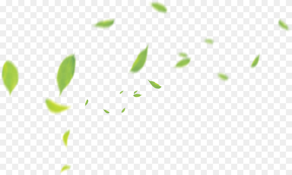 Clip Art Green Pattern Transprent Tea Leaf Floating, Flower, Petal, Plant, Food Png Image