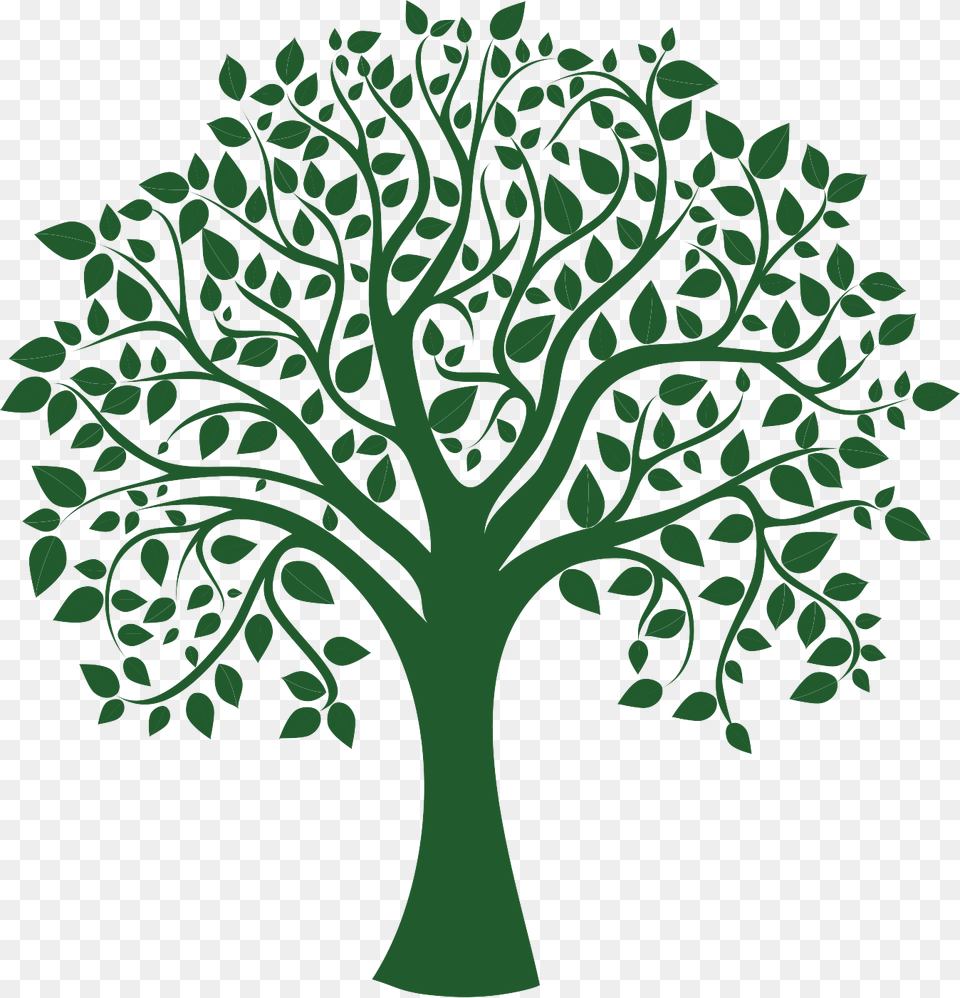 Clip Art Greentree Logo Family Tree No Background, Plant, Oak, Potted Plant, Sycamore Png
