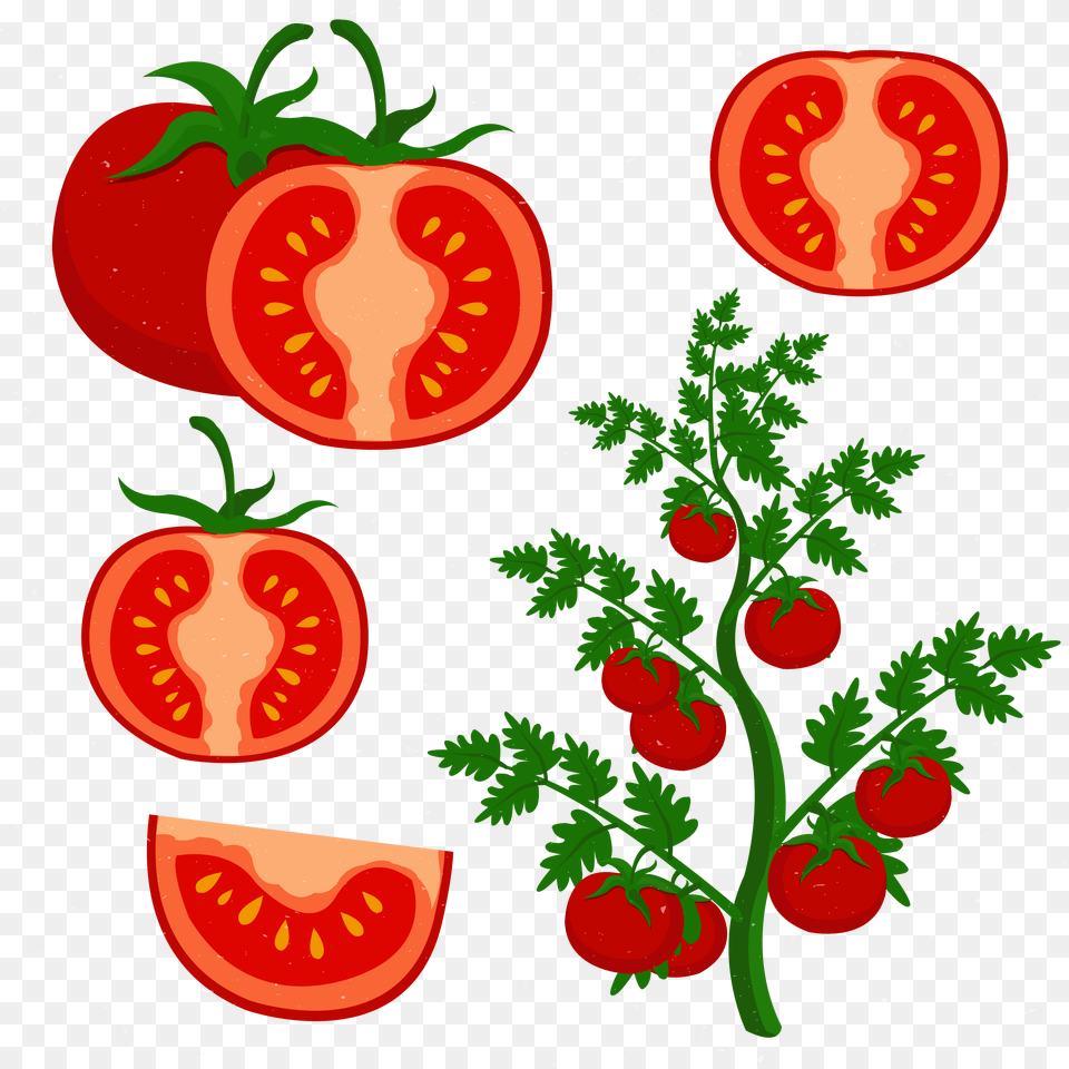 Clip Art Grow Tomatoes Transprent, Blade, Sliced, Weapon, Knife Free Png Download