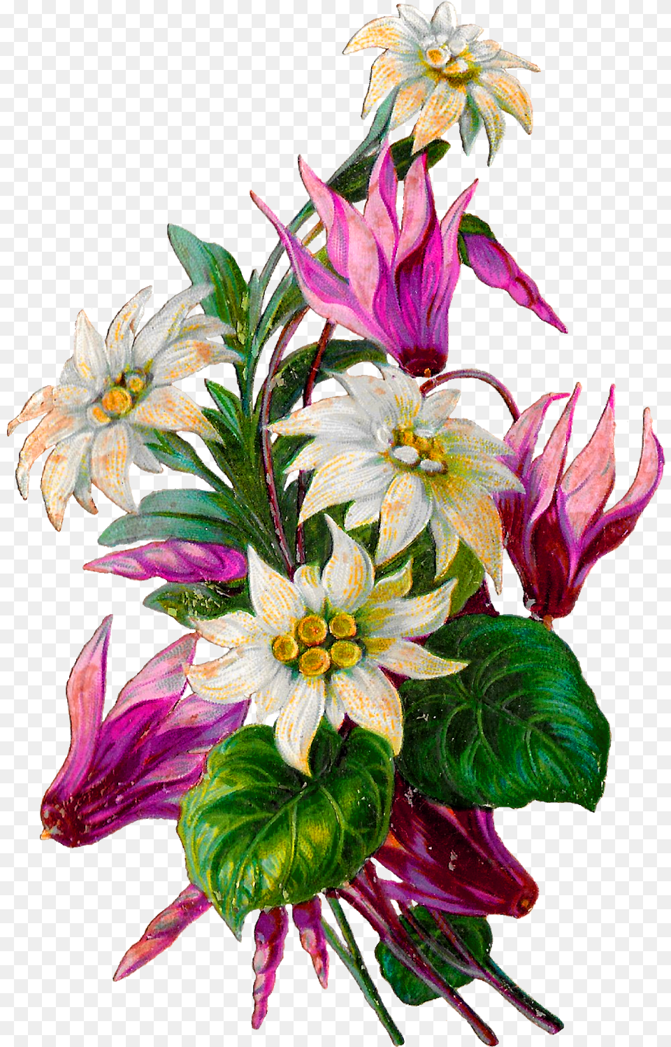 Clip Art Hd Download Clip Art, Flower, Flower Arrangement, Flower Bouquet, Plant Free Transparent Png