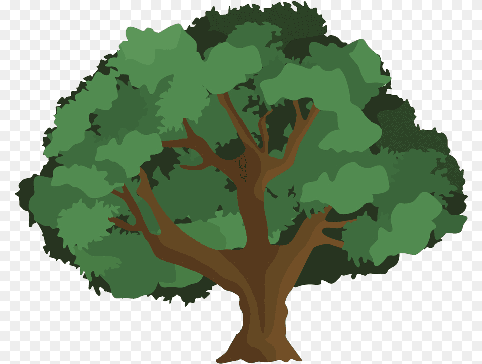 Clip Art Hd Tree Of Gondor Images Alan Lee Clipart Cartoon Tree On White Background, Oak, Sycamore, Plant, Potted Plant Free Transparent Png