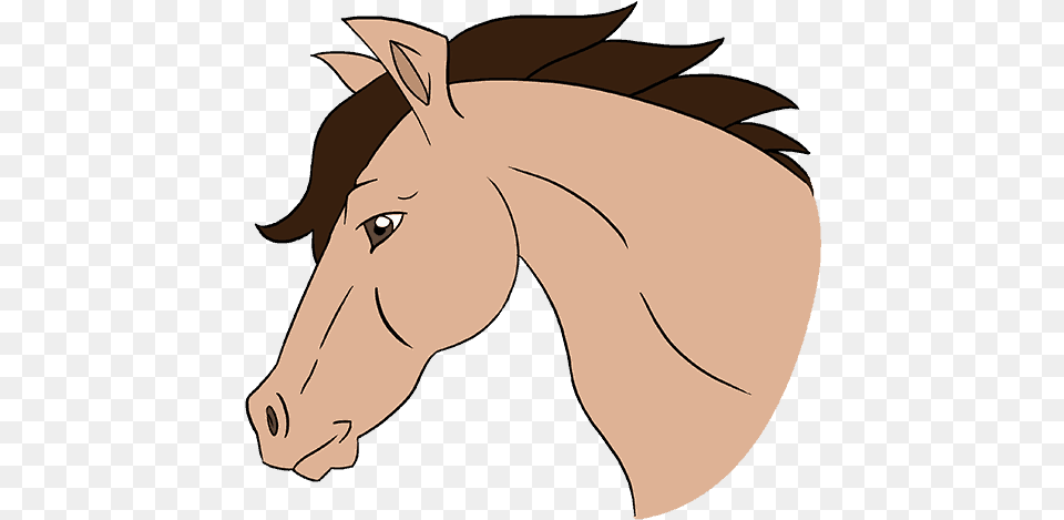 Clip Art Horse Heads Images Cartoon Horse Head Side View, Animal, Colt Horse, Mammal, Baby Free Png Download