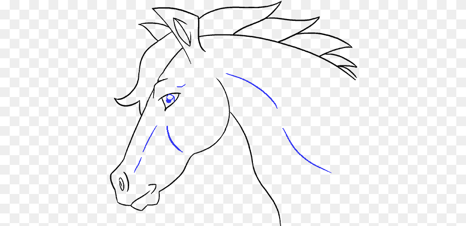 Clip Art How To Draw A Horse Face Drawing, Animal, Sea Life, Fish, Astronomy Free Transparent Png