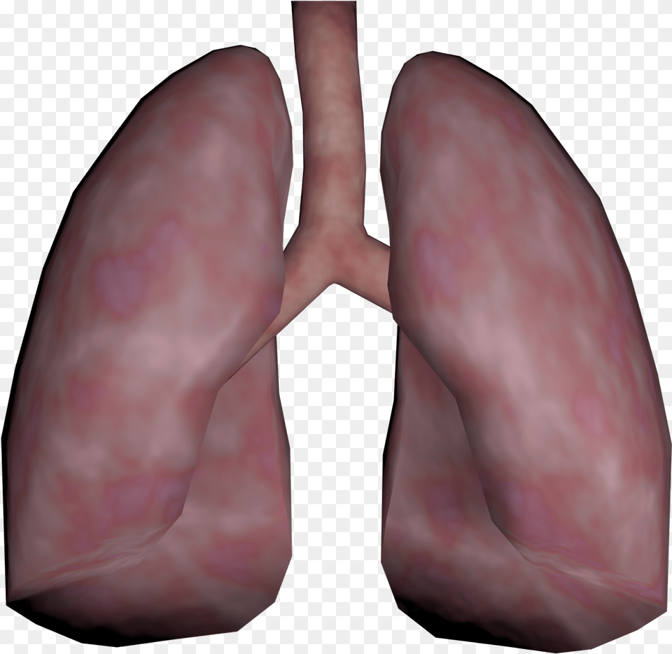 Clip Art Human Opengameart Org Lung Real Human Lung, Body Part, Stomach, Person Free Png