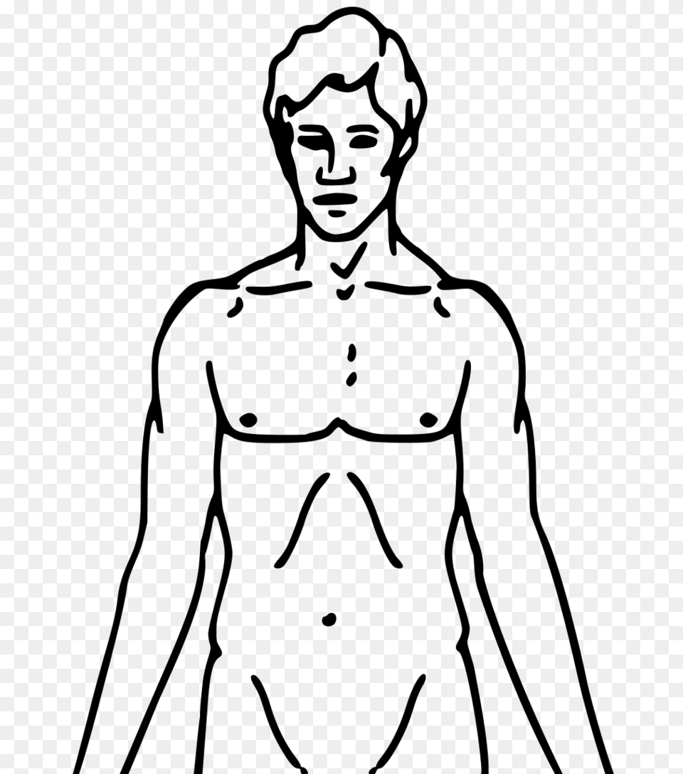 Clip Art Human Outline Clip Art, Gray Free Png Download
