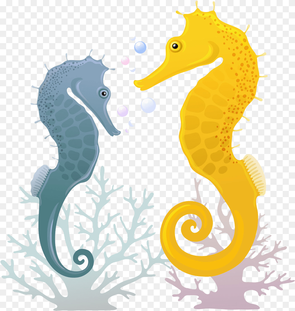 Clip Art Illustration Transprent Illustration, Animal, Mammal, Sea Life, Seahorse Png Image