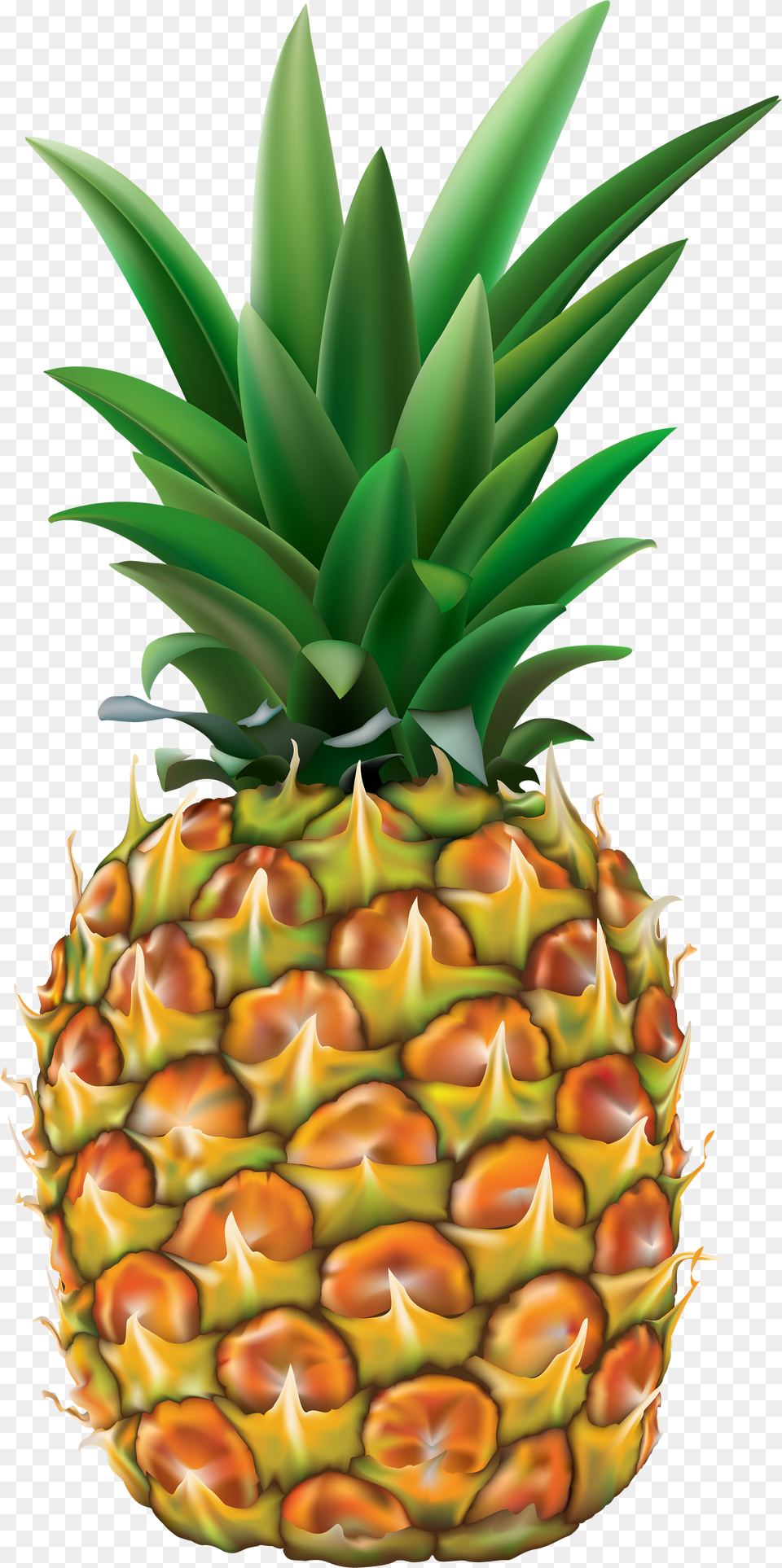 Clip Art Image Pineapple Clipart Free Transparent Png