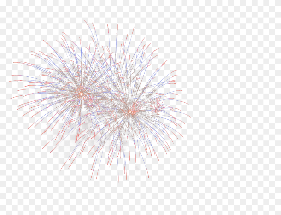 Clip Art Images Of Fireworks Fireworks, Plant Png Image