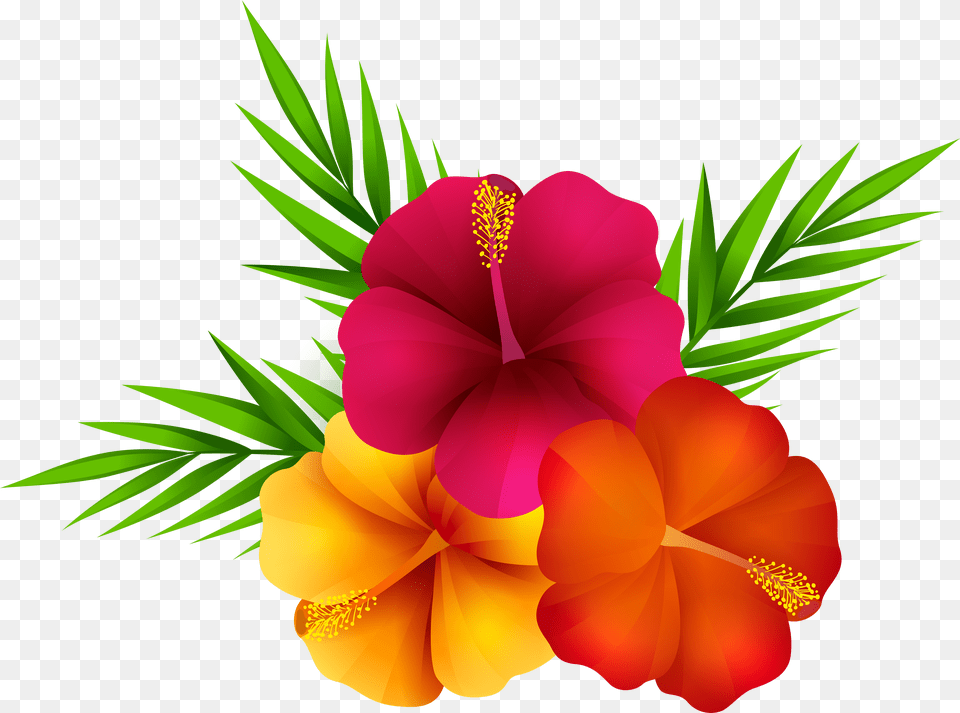 Clip Art Imageu200b Gallery Background Tropical Flower Clipart Free Transparent Png