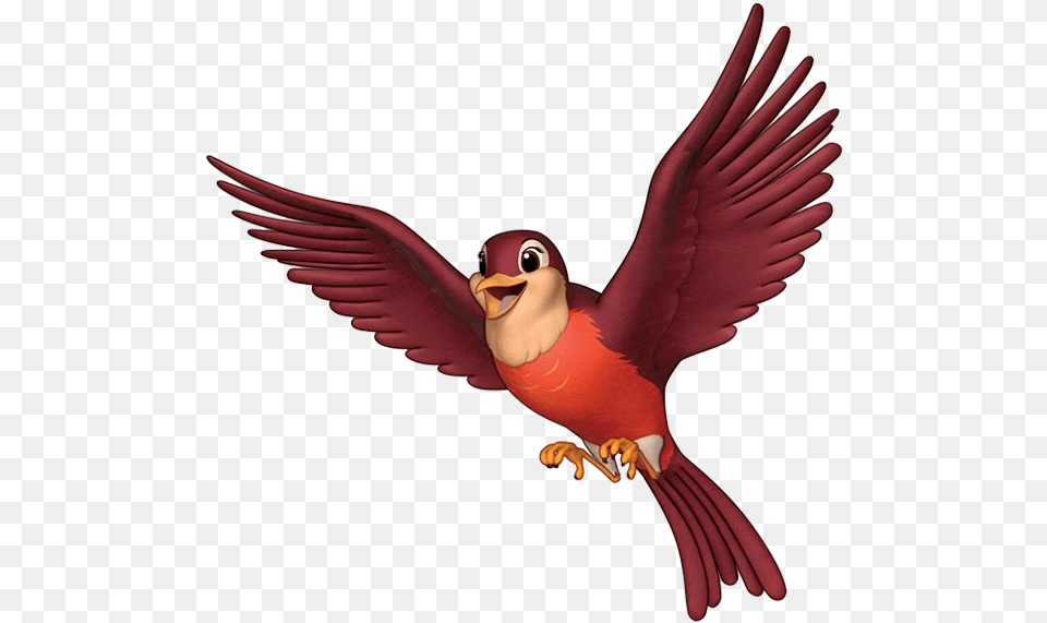 Clip Art Info, Animal, Beak, Bird, Flying Png Image