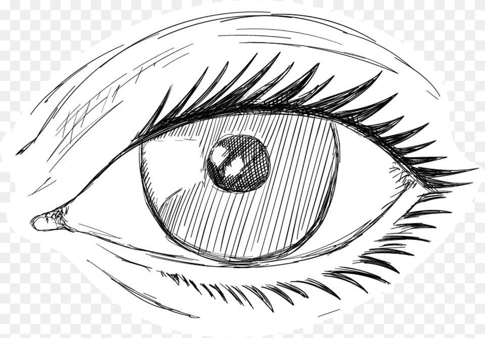 Clip Art Iris Eyes Transprent Desenhos Para Desenhar De Olhos, Drawing, Doodle, Book, Comics Free Transparent Png