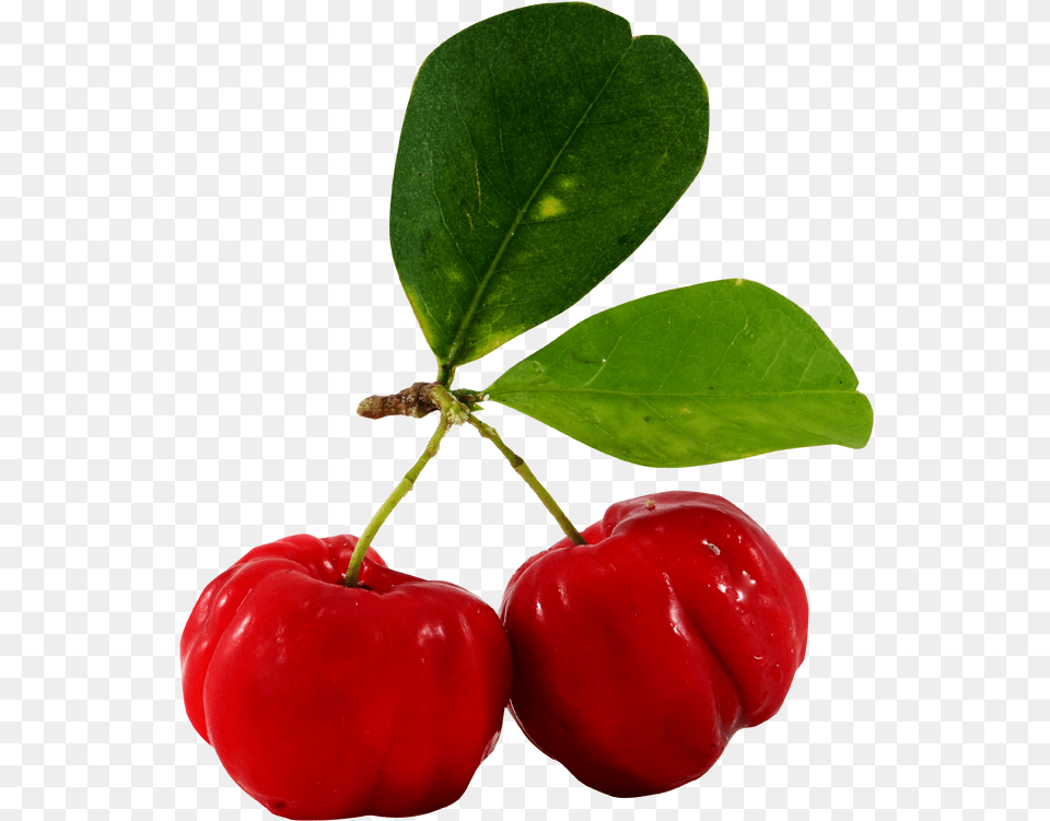 Clip Art Juice Barbados Cherry Fruit Barbados Cherry Tree, Food, Plant, Produce, Apple Free Png Download
