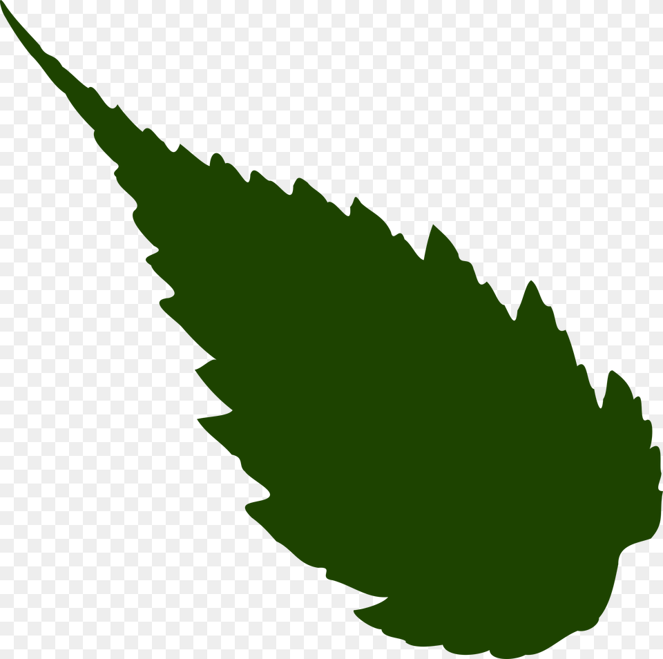 Clip Art Jungle Leaf Clip Art, Plant, Person, Green, Herbal Png Image
